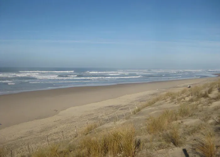 Lägenhet Lou Galipot Avec Jardin Le Porge