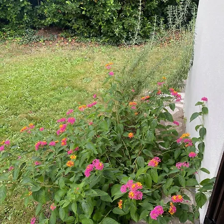 Lou Galipot Avec Jardin Apartamento *