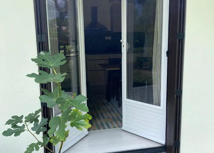 Lou Galipot Avec Jardin Apartment Le Porge