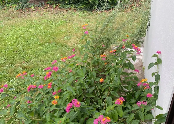 Lou Galipot Avec Jardin Apartment *
